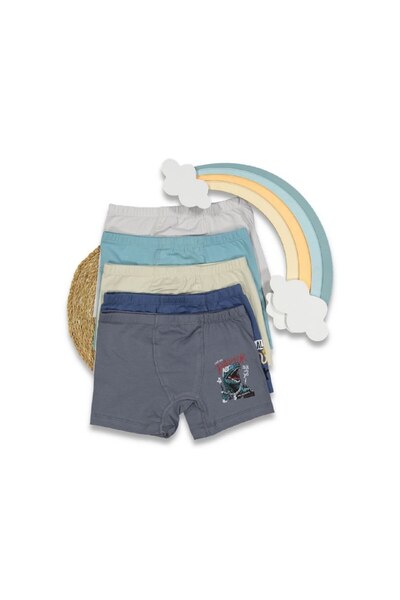 asiltr Bumbac pentru băieți cu model D inozor material elastic boxeri Pachet de 5