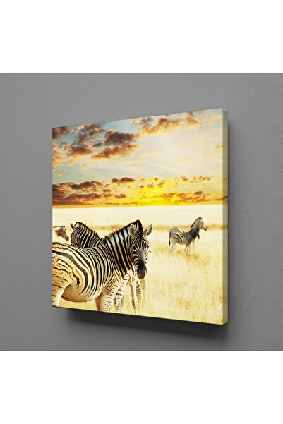 TECHNOPA Zebra Kanvas Tablo 60x60cm