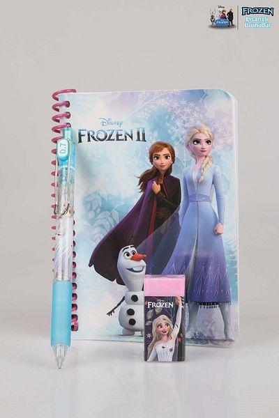 DEKOMUS Bloc de note Elsa Frozen Stripes - Set de stilou cu vârf versatil de 0,7 mm și gumă