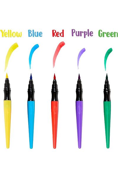 Crayola Project Paint Brush Pens Pack of 5