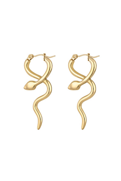 Daniel Klein DKJ.5.30005-1 Women Earrings