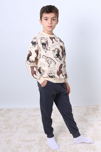 HÇM Boy's Tracksuit Set - Dinosaur Printed, Ribbed F5