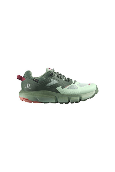 Salomon Predıct Hıke Gtx W