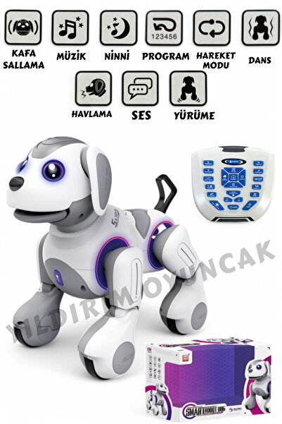 YILDIRIM OYUNCAK Uzaktan Kumandalı Full Fonksiyon Smart İnteraktif Akıllı Rob...