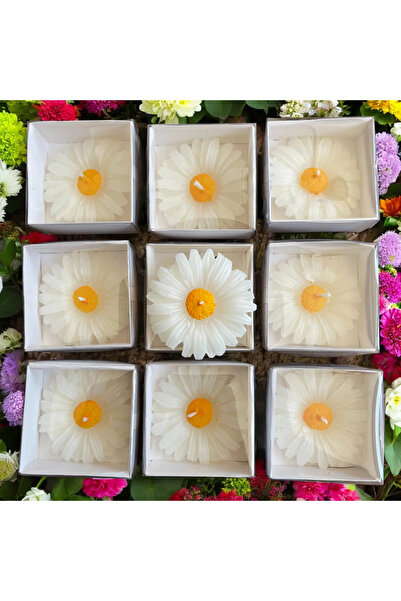 ERSE HOME 10 Adet Beyaz Kraft Kutu İçinde Papatya Mum, Nikah Şekeri, Doğum, S...