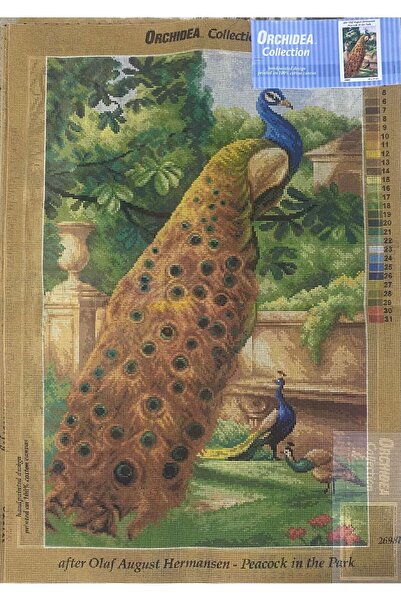 Orchidea 50X81 cm ORCHIDEA BASKILI GOBLEN 2698R