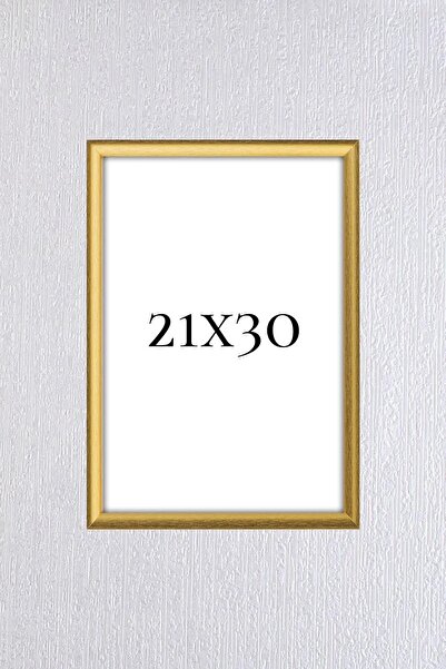 asel sanat A4 Frame - No Glass Pvc Available - Diploma Frame - Document License Certificate Frame - 21X30 Frame