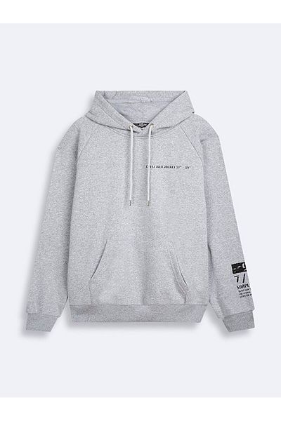 Ltb Relaxed Gray Sweatshirt with Printed Sleeve and Hood