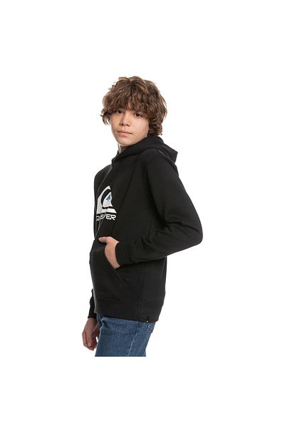 Quiksilver Big Logo Youth