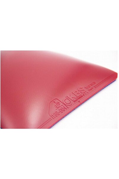 KBS Tarsus Spin Masa Tenis Lastiği