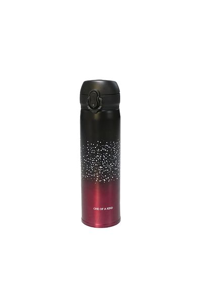 DELCASA 500 ML Stainless Steel Vacuum Water Bottle- DC3105