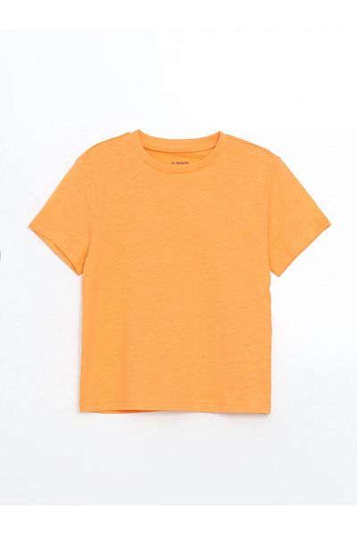 LC Waikiki Sari Crew Neck Basic Boy's T-Shirt