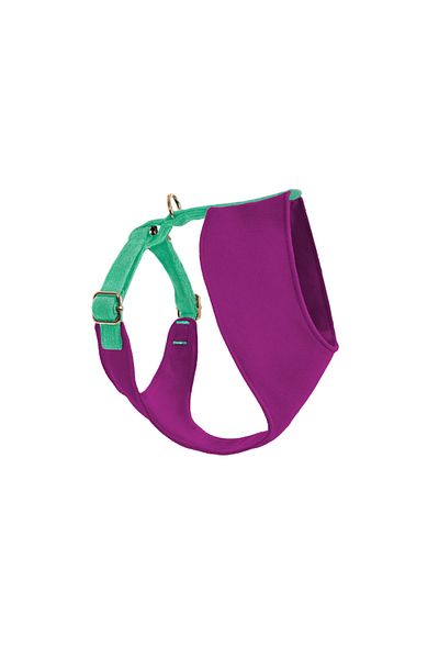 GoPawGo Candy Soft Dog Collar - Comfortable and Stylish Design