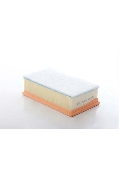 Naspar Air Filter Part No: Bsg 70-135-024