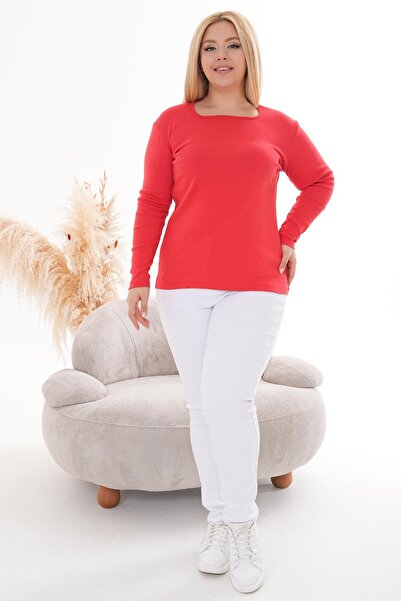 Siyezen Plus Size Crate Neck Cotton Lycra Blouse