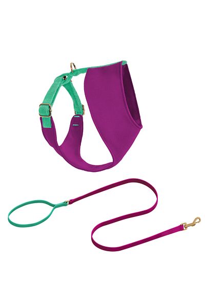 GoPawGo Candy Soft Dog Chest Collar Set