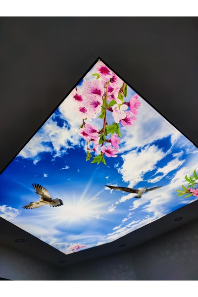 poster marketi Gökyüzü ve Çiçek Desenli Gergi Tavan | Doğal ve Ferah Mekanlar...