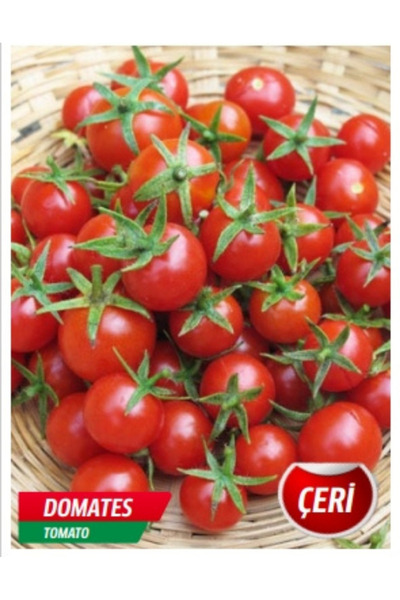 AKSARAY TOHUMCULUK Çeri Domates Tohumu 25 Adet Tohum Aksaray Tohumculuk