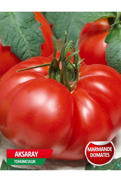AKSARAY TOHUMCULUK Marmande Domates Tohumu 25 Adet Domates Aksaray Tohumculuk