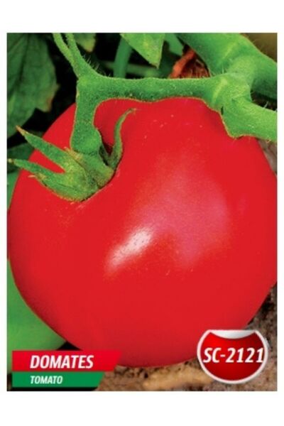 AKSARAY TOHUMCULUK SC-2121 Domates Tohumu 25 Adet Domates Aksaray Tohumculuk