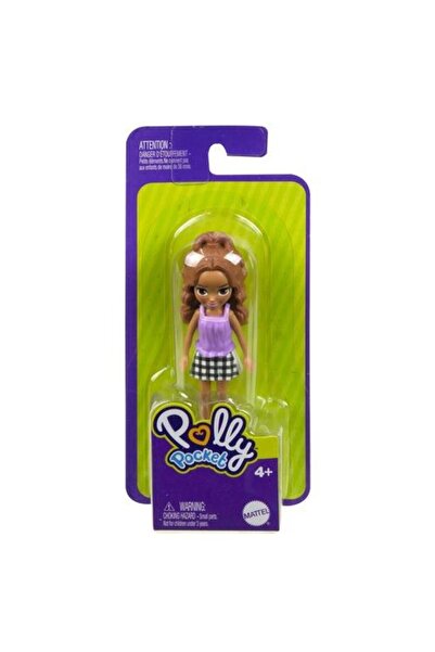Polly Pocket Ve Arkadaşları Serisi Fwy19-hhx88