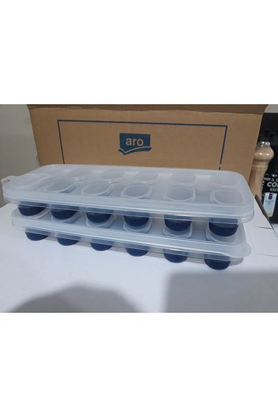 Aro Ice Mold Set of 2