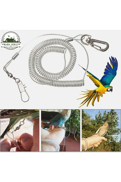 Ankara Yem Evi Caique Monk Alexander - Pakistani Rozella Eklektus Sunshine Parrot Outdoor Travel Apparatus