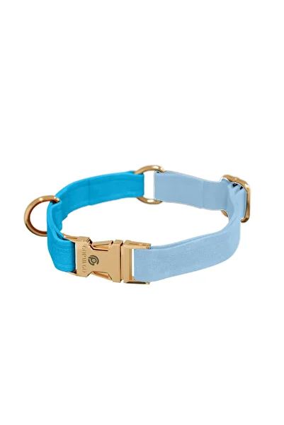 GoPawGo Charmed Roxie Cat Collar