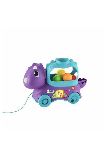 FISHER PRICE Sesli Ve Işıklı Eğlenceli Dinozor Hnr55