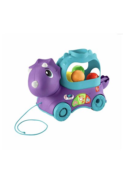 FISHER PRICE Sesli Ve Işıklı Eğlenceli Dinozor Hnr55