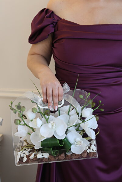 Orkide Çanta içinde orkide