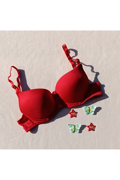 siyalife Push up Padded Supported Micro Bra