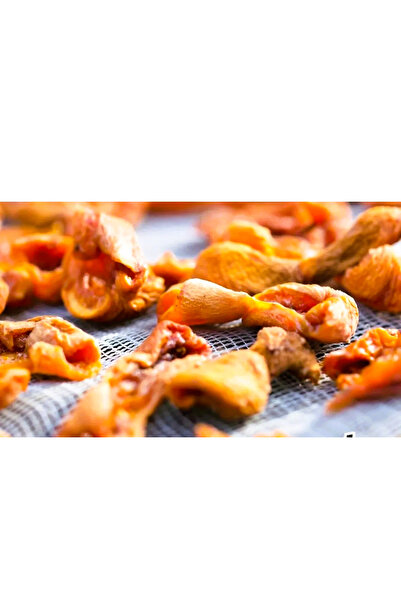 Erzurum İpekgurme Erzurum İpek Gurme Doğal Kurutulmuş Kuru Kayısı Kabuk - 1 K...