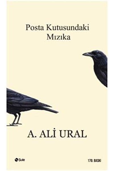 Şule Yayınları Posta Kutusundaki Mızıka