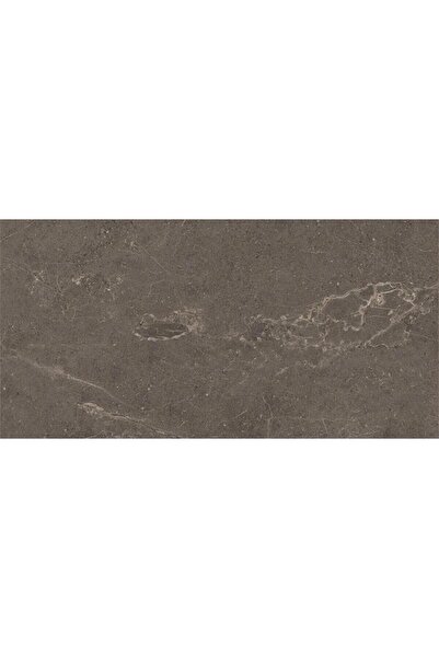 VitrA 60x120 Meteorite Fon Vizon Mat R10B K953499R0001VTSP