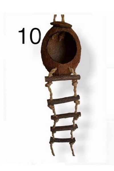 Merkezav Bird Perch Parrot Perch Toy - 10