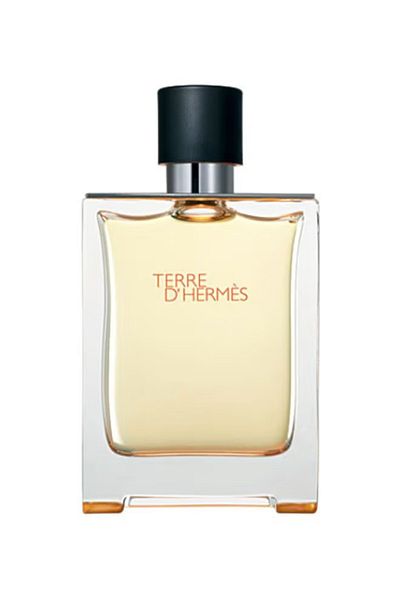 Hermes Terre D' Hermes EDT 100ml