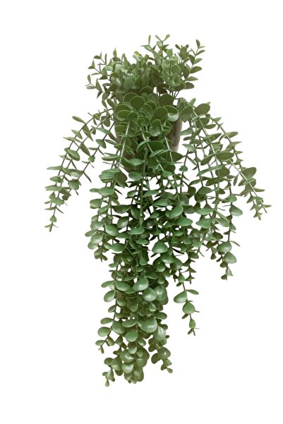 Cennet Home Sarkan Okaliptüs çiçeği Yapay Yeşillik – Doğal Görünümlü Dekoratif Bitki (Açık Yeşil & Koyu Yeşil)