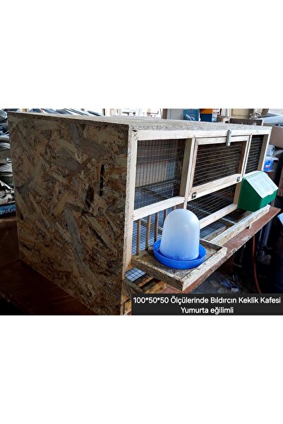 Harikalar Diyarı Çiftlik Yumurta Eğilimli Bıldırcın ve Keklik Kafesi 100x50x50 Ölçülerinde Kuş kafesi