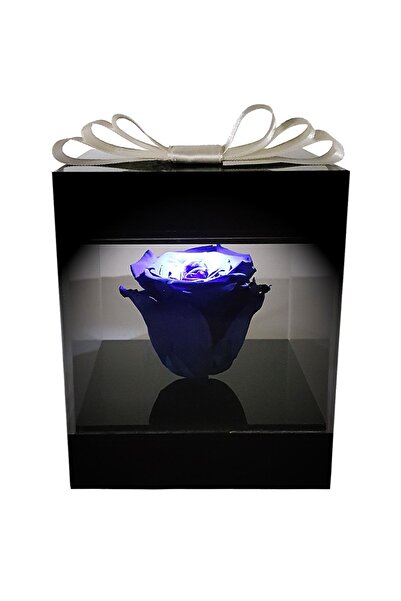 çiçekseli Led Işıklı Pleksi Kutuda Mavi Solmayan Gül (XL) & Sevgiliye, Anneye...