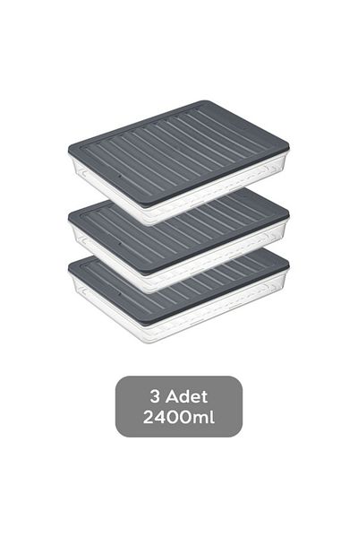 SAVLAR S'Avlar Set of 3 2400 ml Refrigerator Organizer, Freezer and Microwave Storage Container