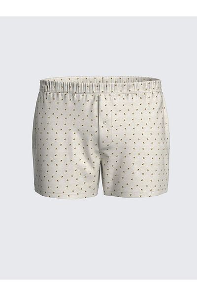 LC Waikiki Ανδρικά μποξεράκια Loose Fit Cotton