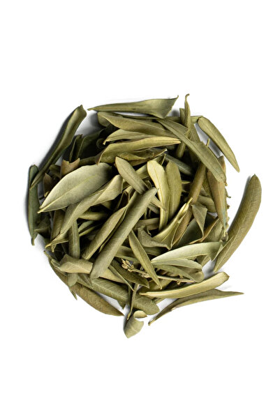 Medite Organik المنتجات العضوية شاي أعشاب أوراق الزيتون 50 جرام