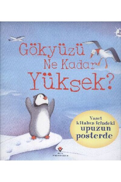 Tübitak Yayınları How Big is a Million? (Hardcover)