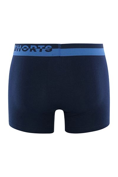 Phil & Co. Berlin Retro Pants All Styles Retro-boxer Retro-shorts Unterhose