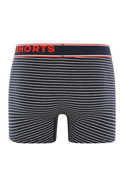 Phil & Co. Berlin Retro Pants All Styles Retro-boxer Retro-shorts Unterhose