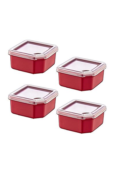 Smartware 4-Pack Q-Box Storage Container Carmen 650 ml