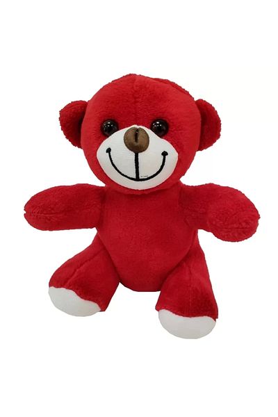 ÇERÇİCİ Plush Teddy Bear