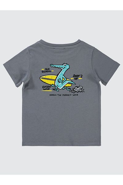 Civil Boys 2-5 Years Boy Gray T-Shirt