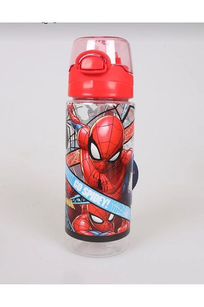 ÇİLEKHOMEAVM Licensed 500 ml Trıtan Water Bottle and Small Notepad